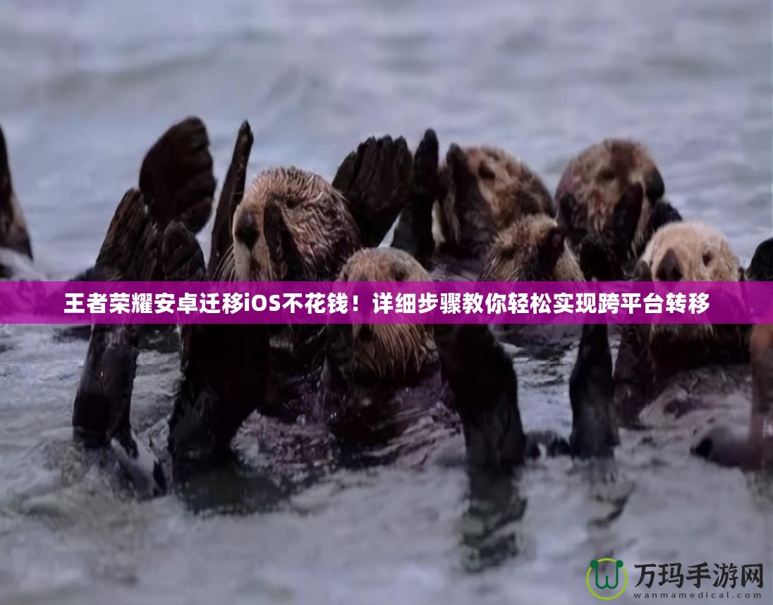 王者榮耀安卓遷移iOS不花錢！詳細(xì)步驟教你輕松實(shí)現(xiàn)跨平臺(tái)轉(zhuǎn)移