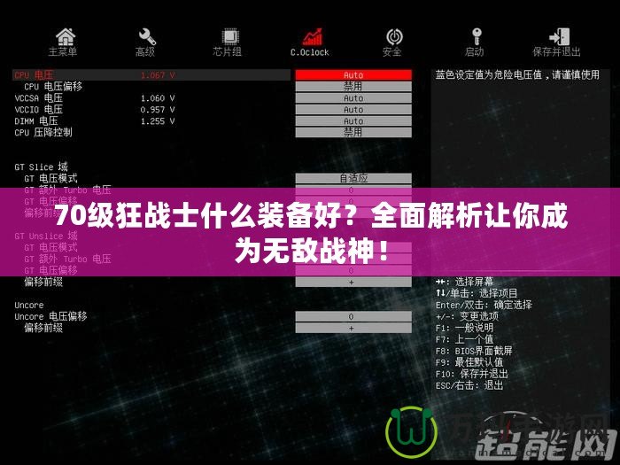70級狂戰(zhàn)士什么裝備好？全面解析讓你成為無敵戰(zhàn)神！