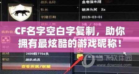 CF名字空白字復(fù)制，助你擁有最炫酷的游戲昵稱！