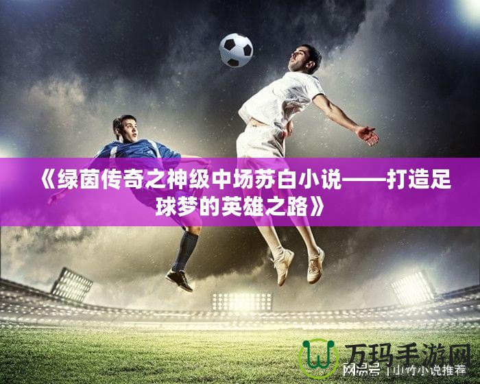 《綠茵傳奇之神級(jí)中場蘇白小說——打造足球夢(mèng)的英雄之路》