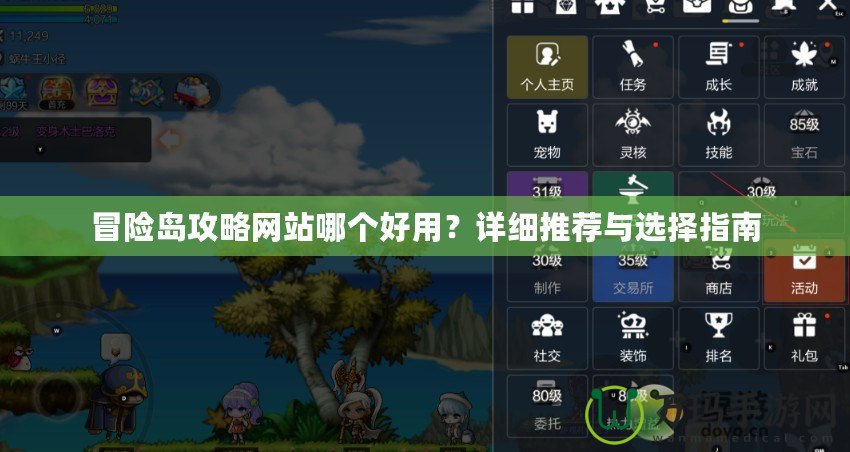 冒險(xiǎn)島攻略網(wǎng)站哪個(gè)好用？詳細(xì)推薦與選擇指南