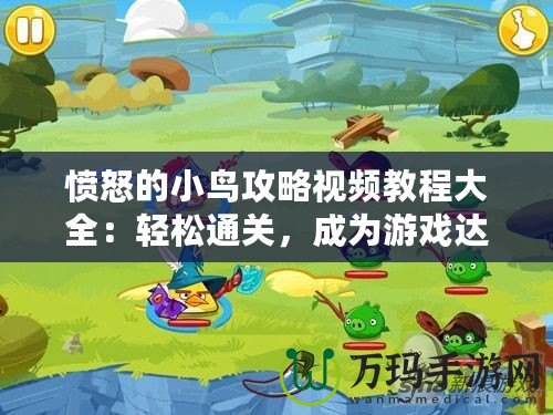 憤怒的小鳥攻略視頻教程大全：輕松通關(guān)，成為游戲達(dá)人