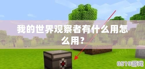 我的世界觀察者有什么用怎么用？