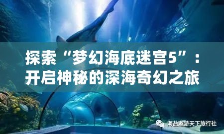 探索“夢幻海底迷宮5”：開啟神秘的深海奇幻之旅！