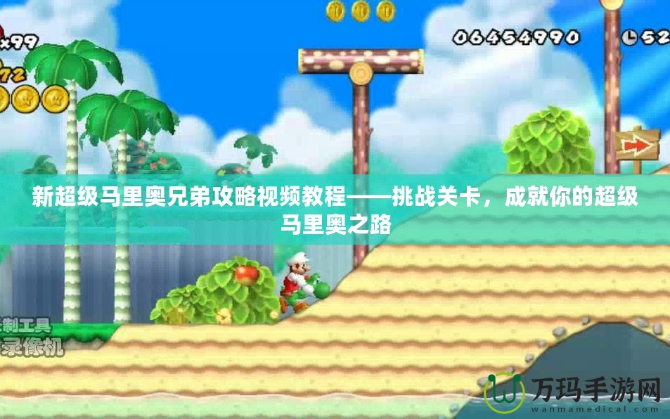 新超級(jí)馬里奧兄弟攻略視頻教程——挑戰(zhàn)關(guān)卡，成就你的超級(jí)馬里奧之路