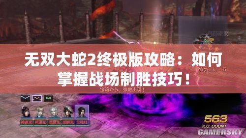 無雙大蛇2終極版攻略：如何掌握戰(zhàn)場制勝技巧！