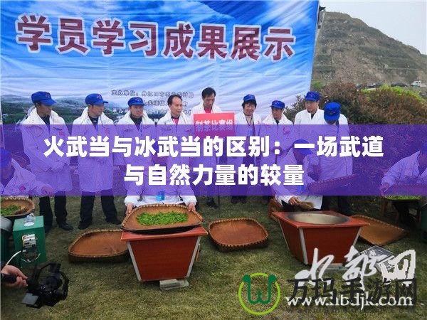 火武當(dāng)與冰武當(dāng)?shù)膮^(qū)別：一場武道與自然力量的較量
