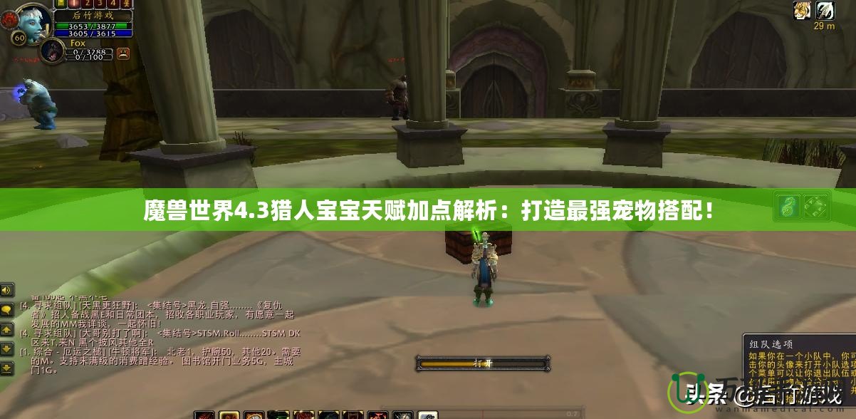 魔獸世界4.3獵人寶寶天賦加點解析：打造最強寵物搭配！
