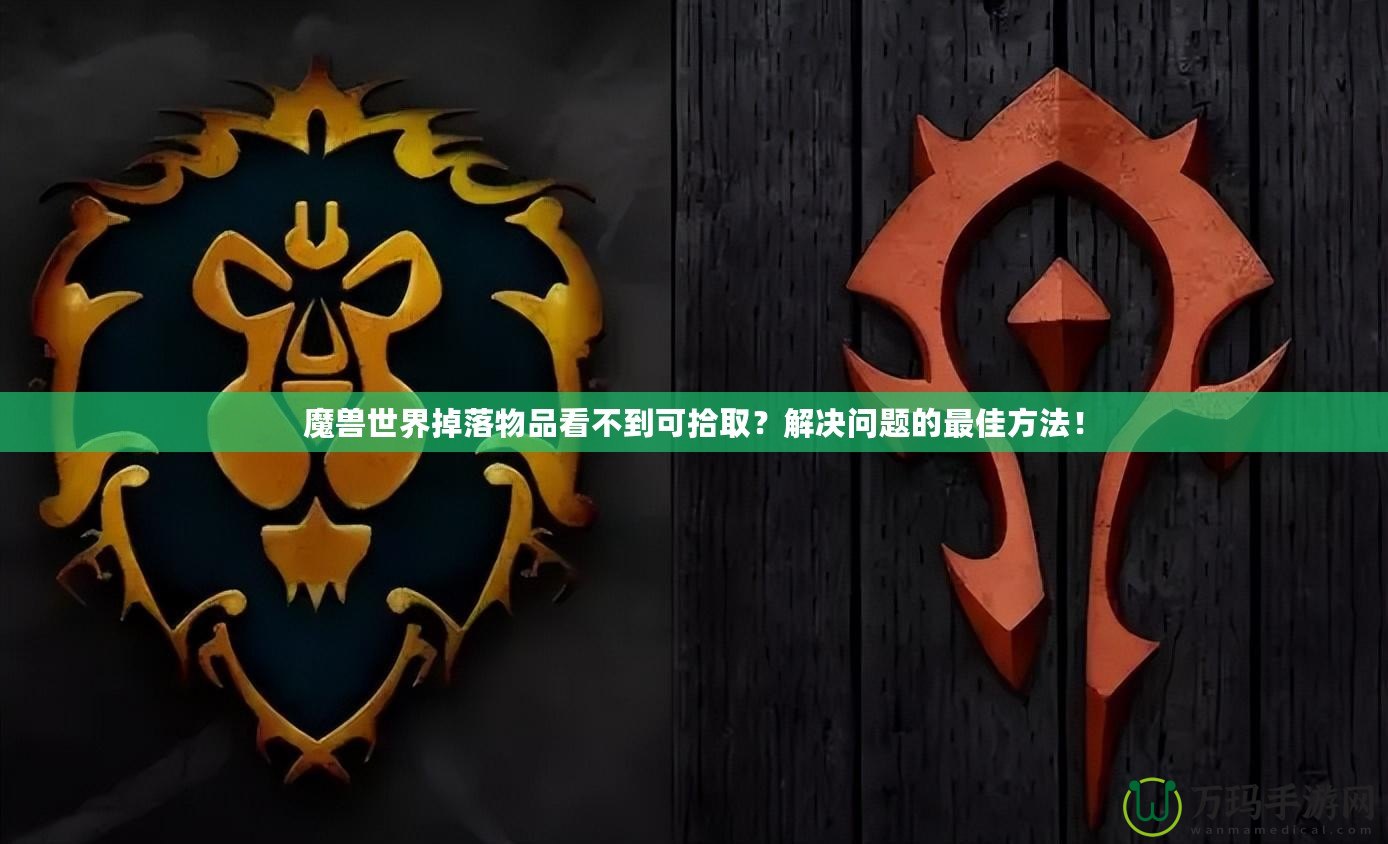 魔獸世界掉落物品看不到可拾??？解決問題的最佳方法！