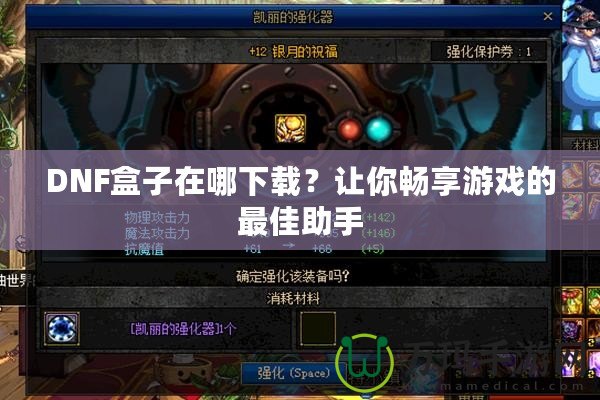 DNF盒子在哪下載？讓你暢享游戲的最佳助手