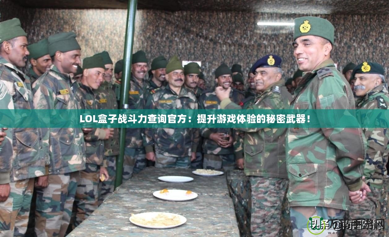 LOL盒子戰(zhàn)斗力查詢官方：提升游戲體驗(yàn)的秘密武器！