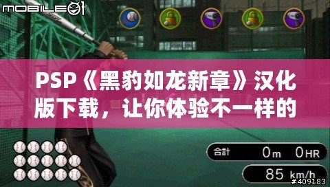 PSP《黑豹如龍新章》漢化版下載，讓你體驗不一樣的江湖風(fēng)云！