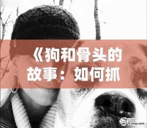 《狗和骨頭的故事：如何抓住機(jī)會，不讓夢想溜走》