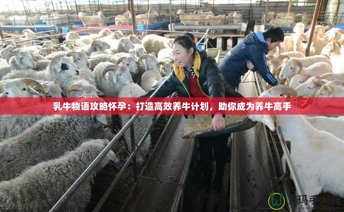 乳牛物語攻略懷孕：打造高效養(yǎng)牛計(jì)劃，助你成為養(yǎng)牛高手