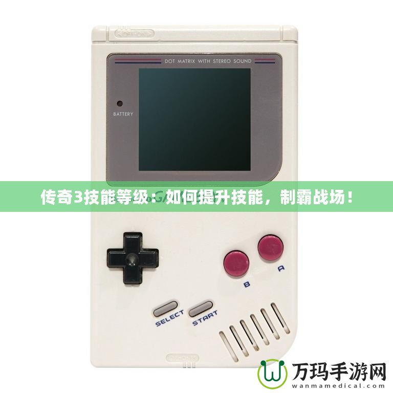 傳奇3技能等級：如何提升技能，制霸戰(zhàn)場！