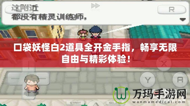 口袋妖怪白2道具全開金手指，暢享無限自由與精彩體驗(yàn)！
