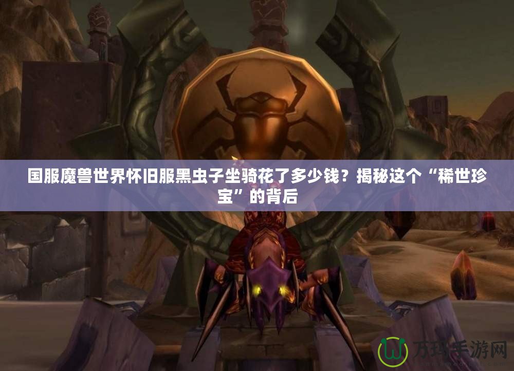 國服魔獸世界懷舊服黑蟲子坐騎花了多少錢？揭秘這個“稀世珍寶”的背后