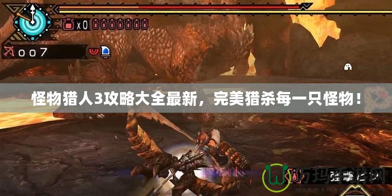 怪物獵人3攻略大全最新，完美獵殺每一只怪物！