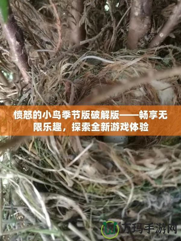 憤怒的小鳥季節(jié)版破解版——暢享無限樂趣，探索全新游戲體驗