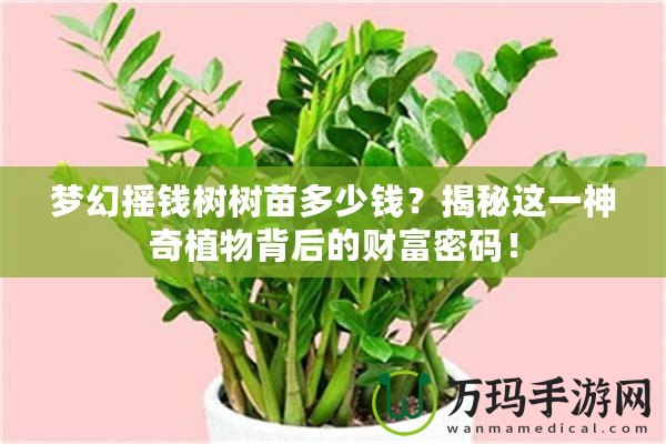 夢幻搖錢樹樹苗多少錢？揭秘這一神奇植物背后的財(cái)富密碼！