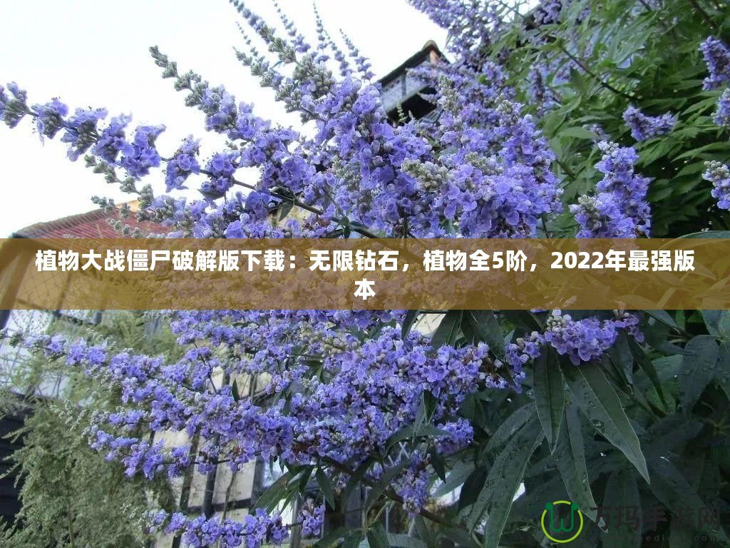 植物大戰(zhàn)僵尸破解版下載：無限鉆石，植物全5階，2022年最強版本