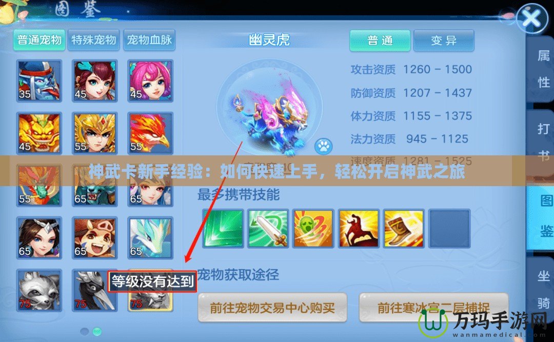 神武卡新手經(jīng)驗：如何快速上手，輕松開啟神武之旅