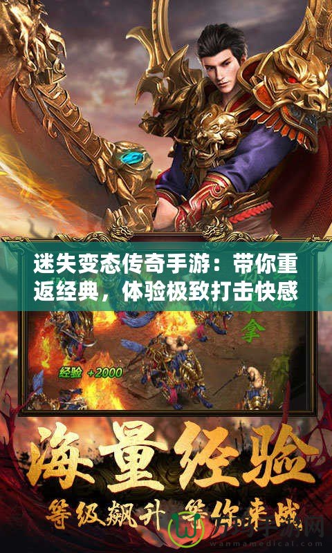 迷失變態(tài)傳奇手游：帶你重返經(jīng)典，體驗極致打擊快感！