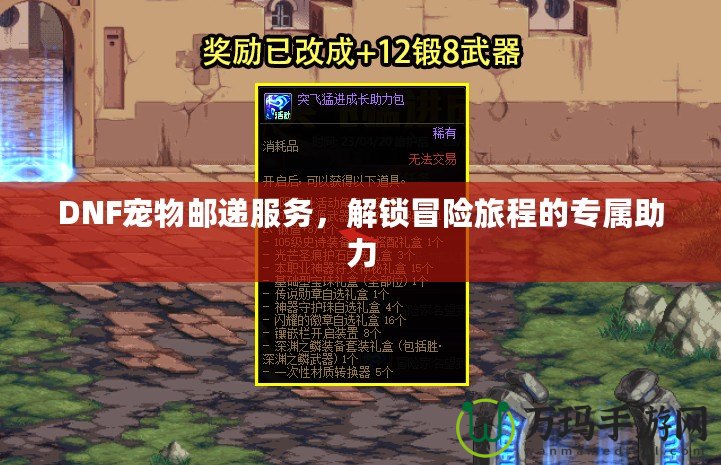 DNF寵物郵遞服務(wù)，解鎖冒險旅程的專屬助力