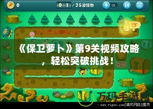 《保衛(wèi)蘿卜》第9關(guān)視頻攻略，輕松突破挑戰(zhàn)！