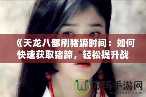 《天龍八部刷豬蹄時(shí)間：如何快速獲取豬蹄，輕松提升戰(zhàn)力！》