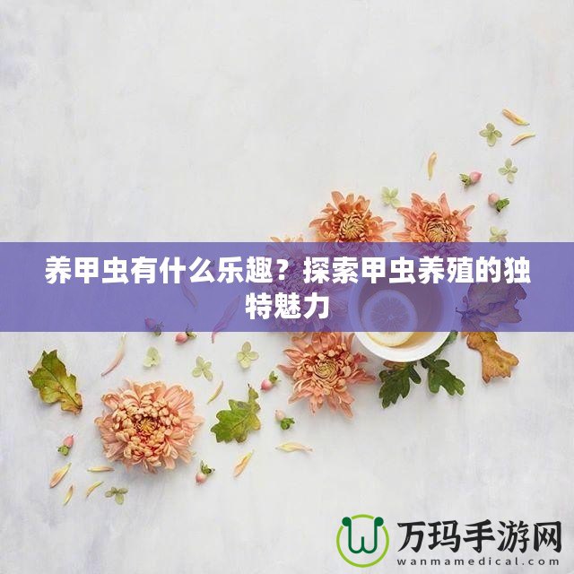 養(yǎng)甲蟲有什么樂趣？探索甲蟲養(yǎng)殖的獨(dú)特魅力