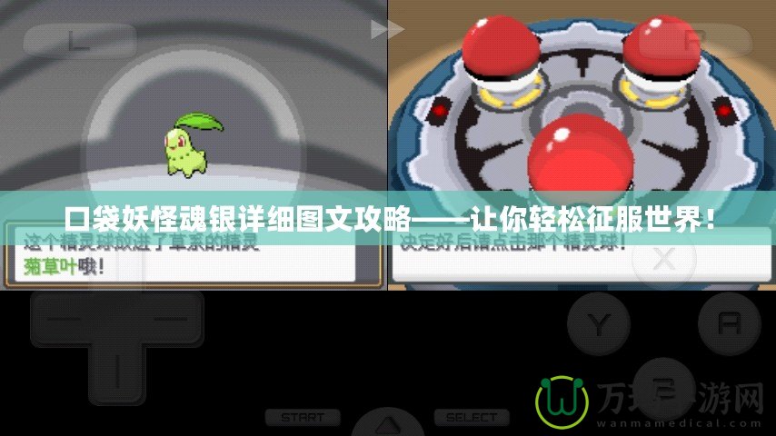 口袋妖怪魂銀詳細(xì)圖文攻略——讓你輕松征服世界！