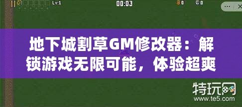 地下城割草GM修改器：解鎖游戲無限可能，體驗(yàn)超爽割草快感！