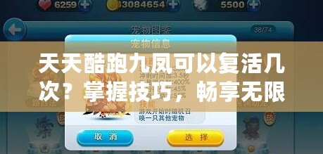 天天酷跑九鳳可以復(fù)活幾次？掌握技巧，暢享無限可能！