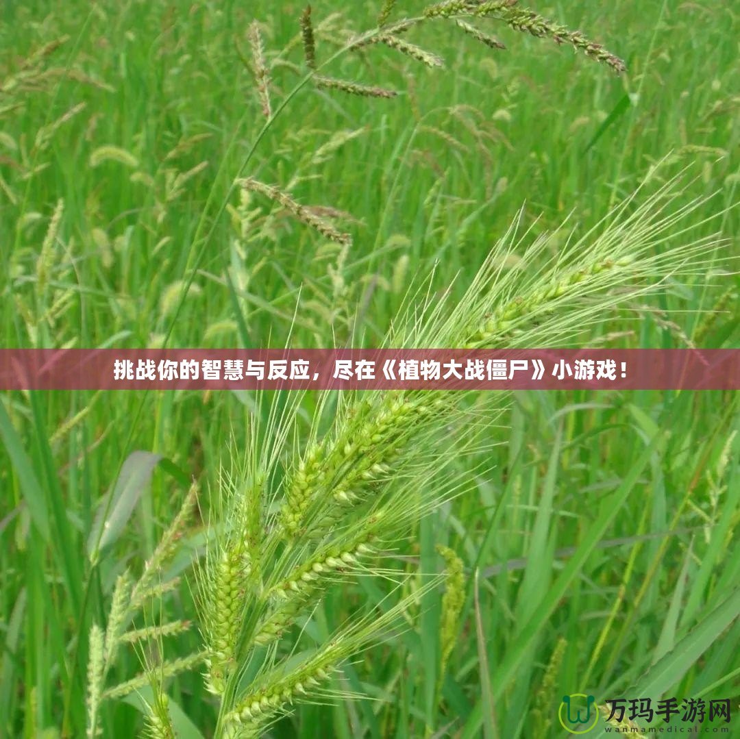 挑戰(zhàn)你的智慧與反應，盡在《植物大戰(zhàn)僵尸》小游戲！