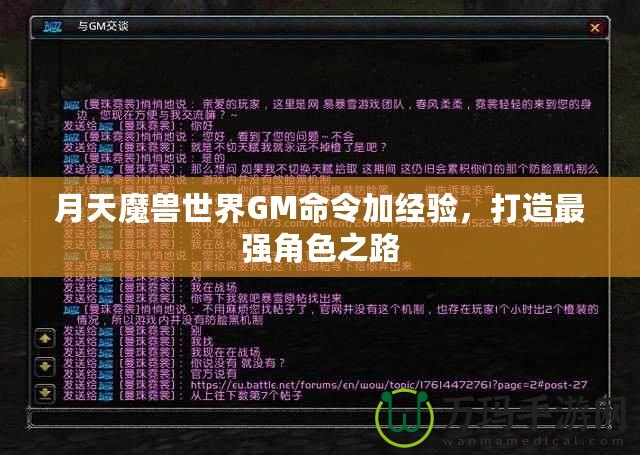 月天魔獸世界GM命令加經(jīng)驗(yàn)，打造最強(qiáng)角色之路
