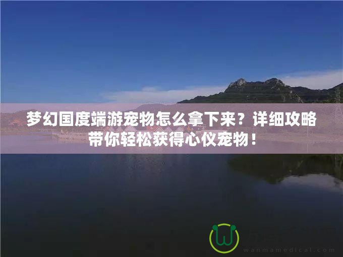 夢幻國度端游寵物怎么拿下來？詳細攻略帶你輕松獲得心儀寵物！