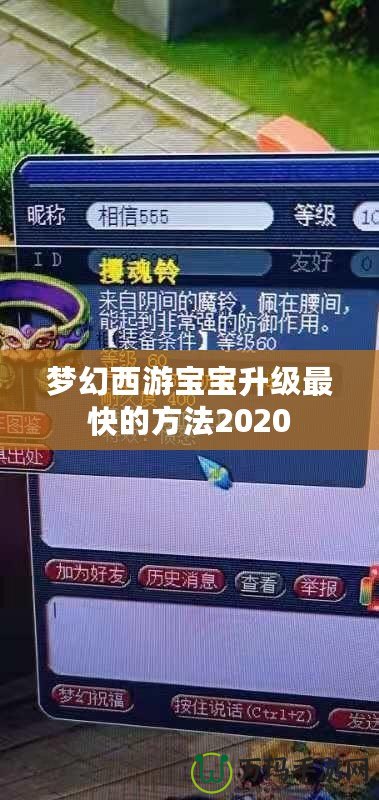 夢(mèng)幻西游寶寶升級(jí)最快的方法2020