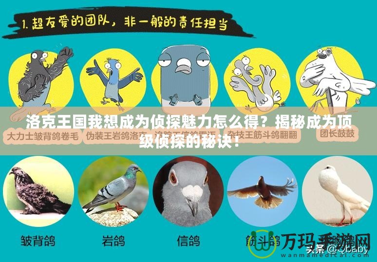 洛克王國我想成為偵探魅力怎么得？揭秘成為頂級偵探的秘訣！