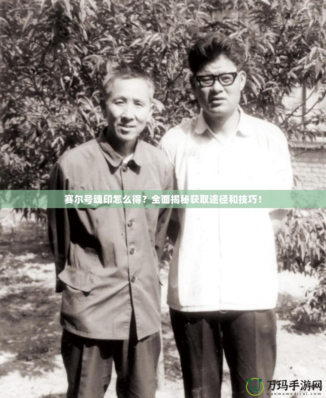 賽爾號(hào)魂印怎么得？全面揭秘獲取途徑和技巧！