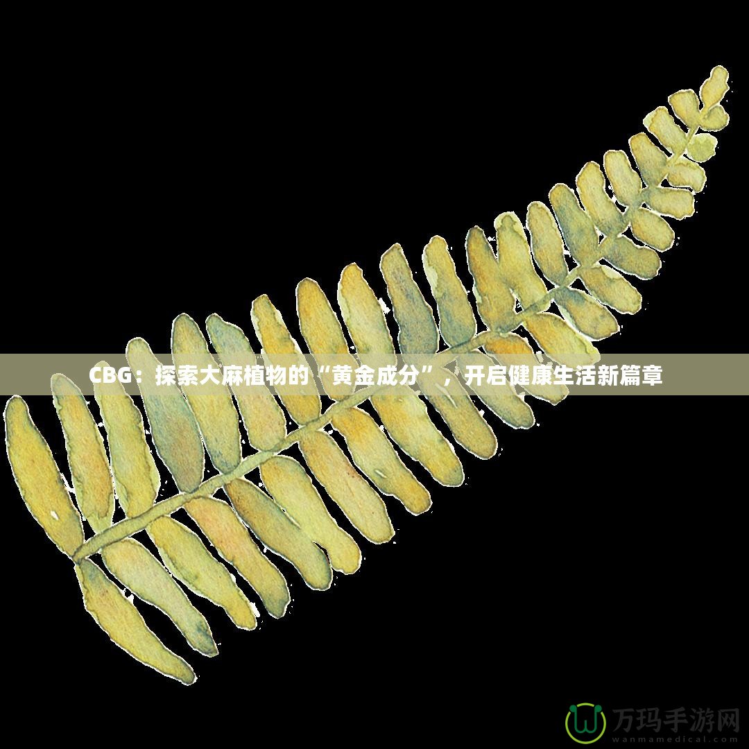 CBG：探索大麻植物的“黃金成分”，開啟健康生活新篇章
