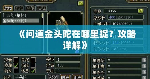 《問道金頭陀在哪里捉？攻略詳解》