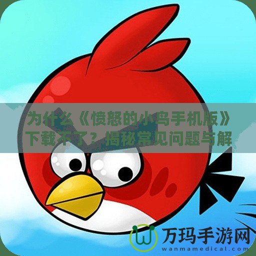為什么《憤怒的小鳥(niǎo)手機(jī)版》下載不了？揭秘常見(jiàn)問(wèn)題與解決方案