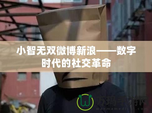小智無(wú)雙微博新浪——數(shù)字時(shí)代的社交革命