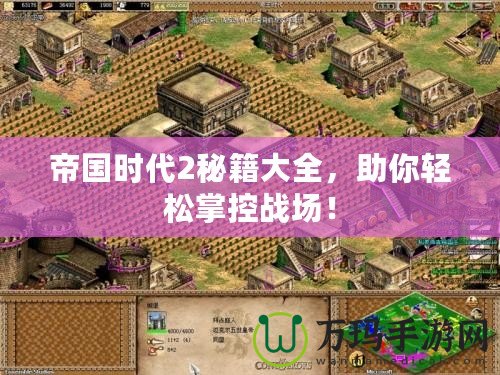 帝國(guó)時(shí)代2秘籍大全，助你輕松掌控戰(zhàn)場(chǎng)！