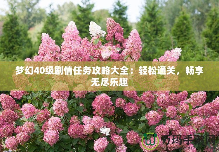 夢(mèng)幻40級(jí)劇情任務(wù)攻略大全：輕松通關(guān)，暢享無盡樂趣