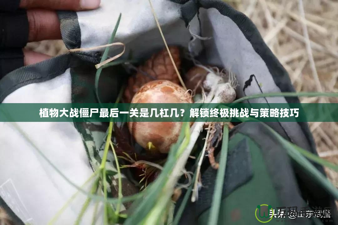 植物大戰(zhàn)僵尸最后一關(guān)是幾杠幾？解鎖終極挑戰(zhàn)與策略技巧