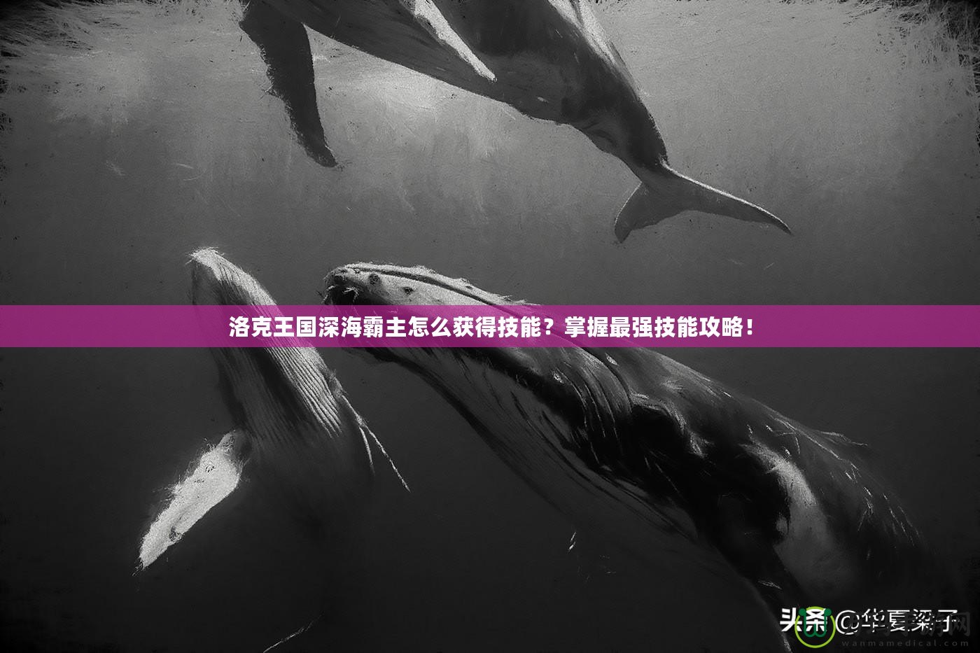 洛克王國深海霸主怎么獲得技能？掌握最強(qiáng)技能攻略！