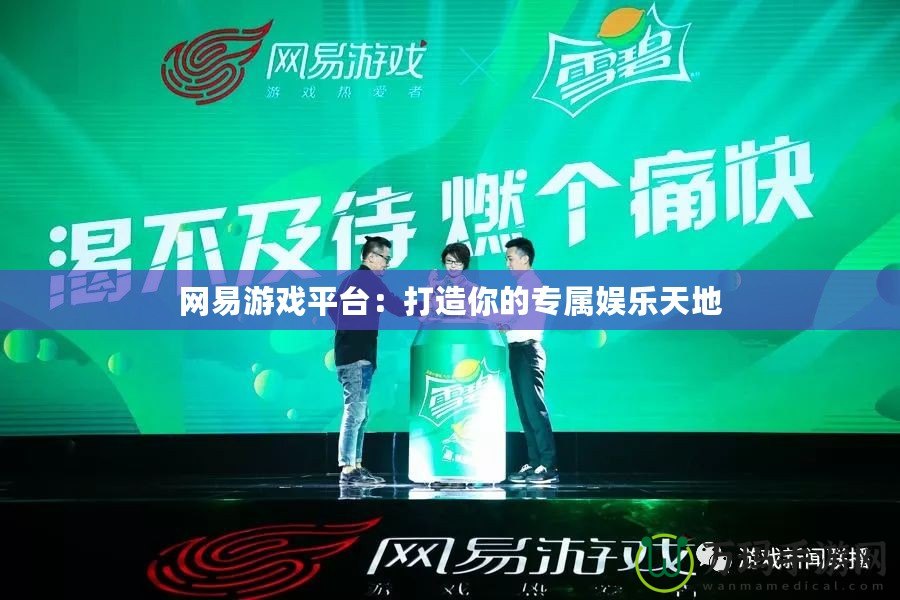 網(wǎng)易游戲平臺(tái)：打造你的專(zhuān)屬娛樂(lè)天地