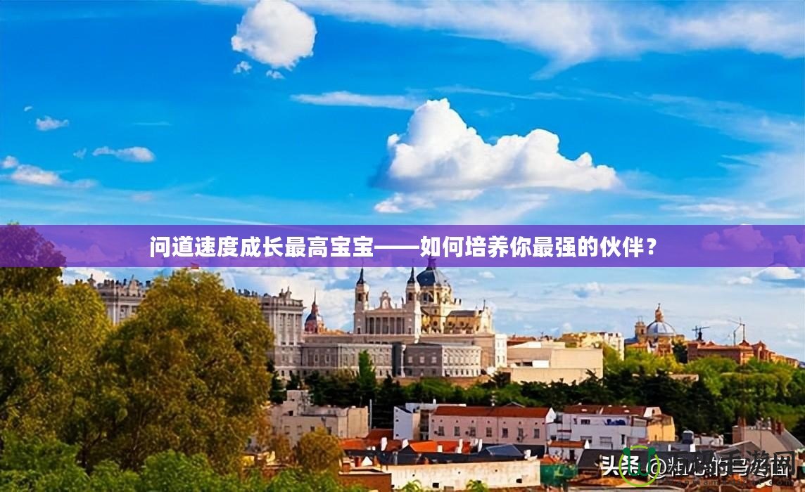 問道速度成長(zhǎng)最高寶寶——如何培養(yǎng)你最強(qiáng)的伙伴？